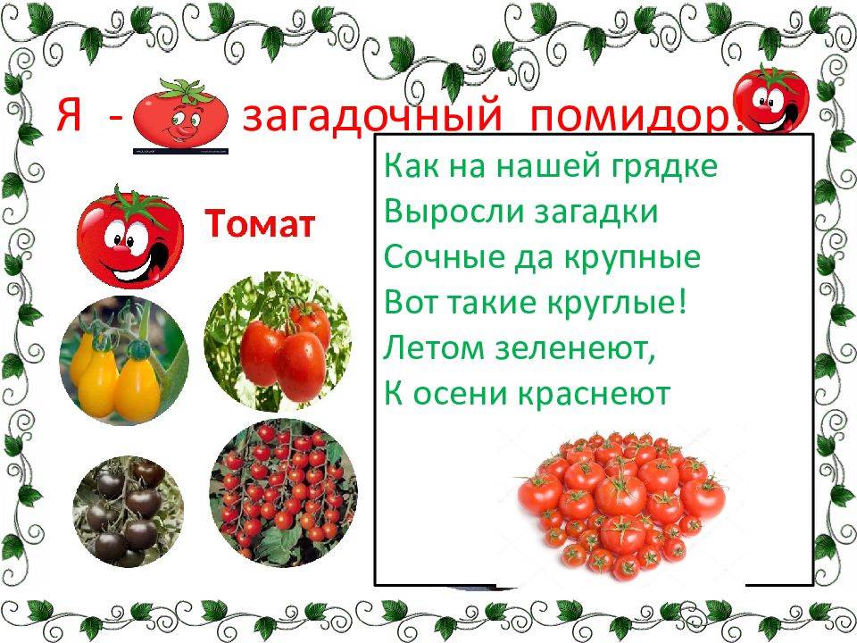 Помидор или помедор - как правильно пишется слово