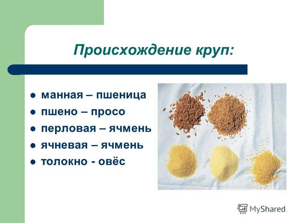 В чём разница между пшеничной крупой и пшеном