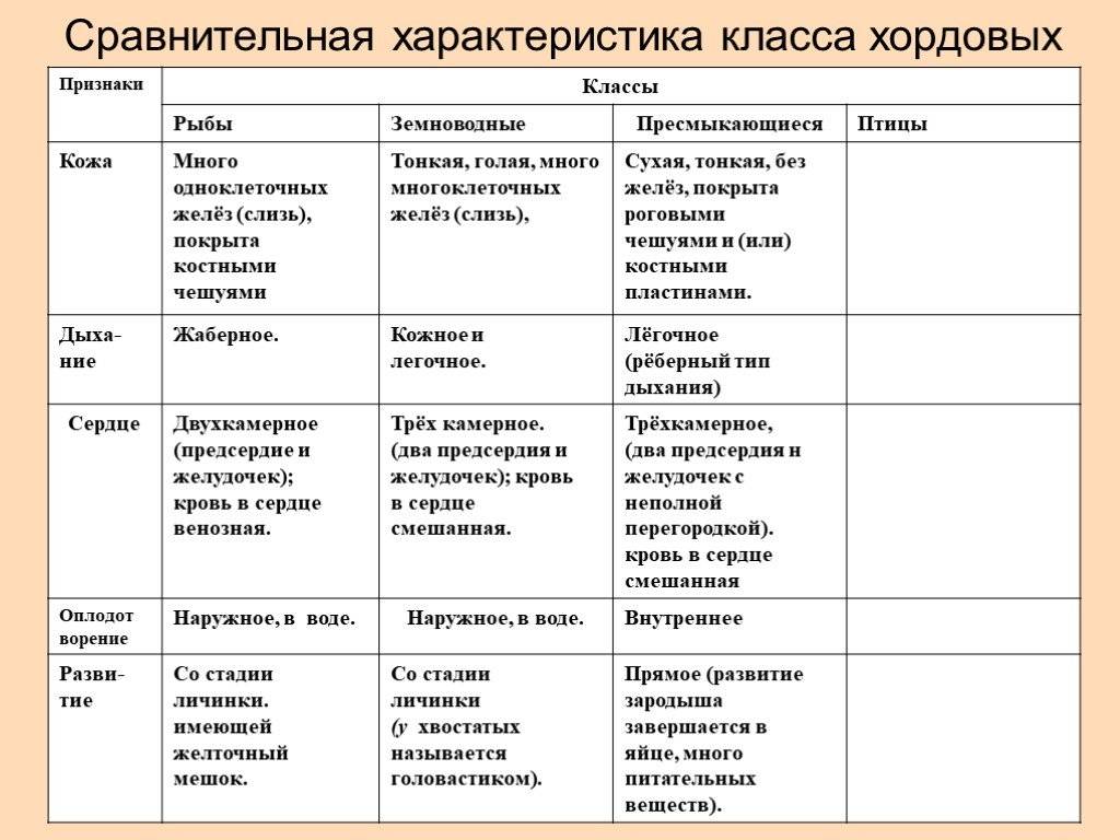 Амфибия против рептилий - разница и сравнение