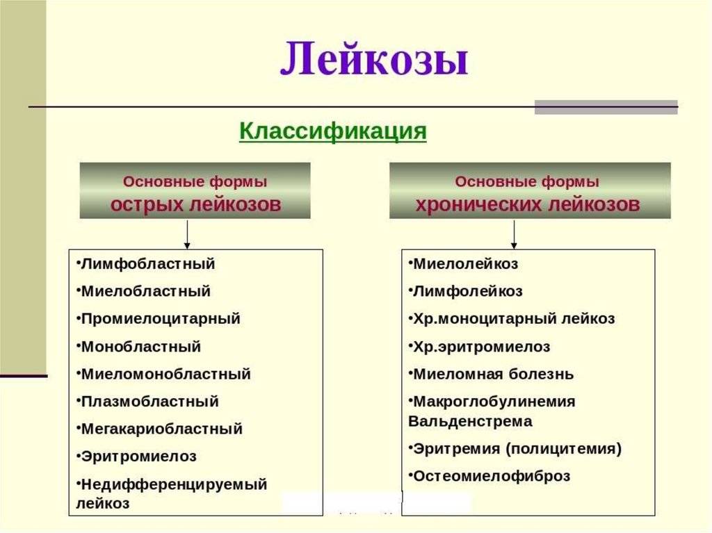 Лейкоз острый, хронический - симптомы, причины, лечение лейкоза