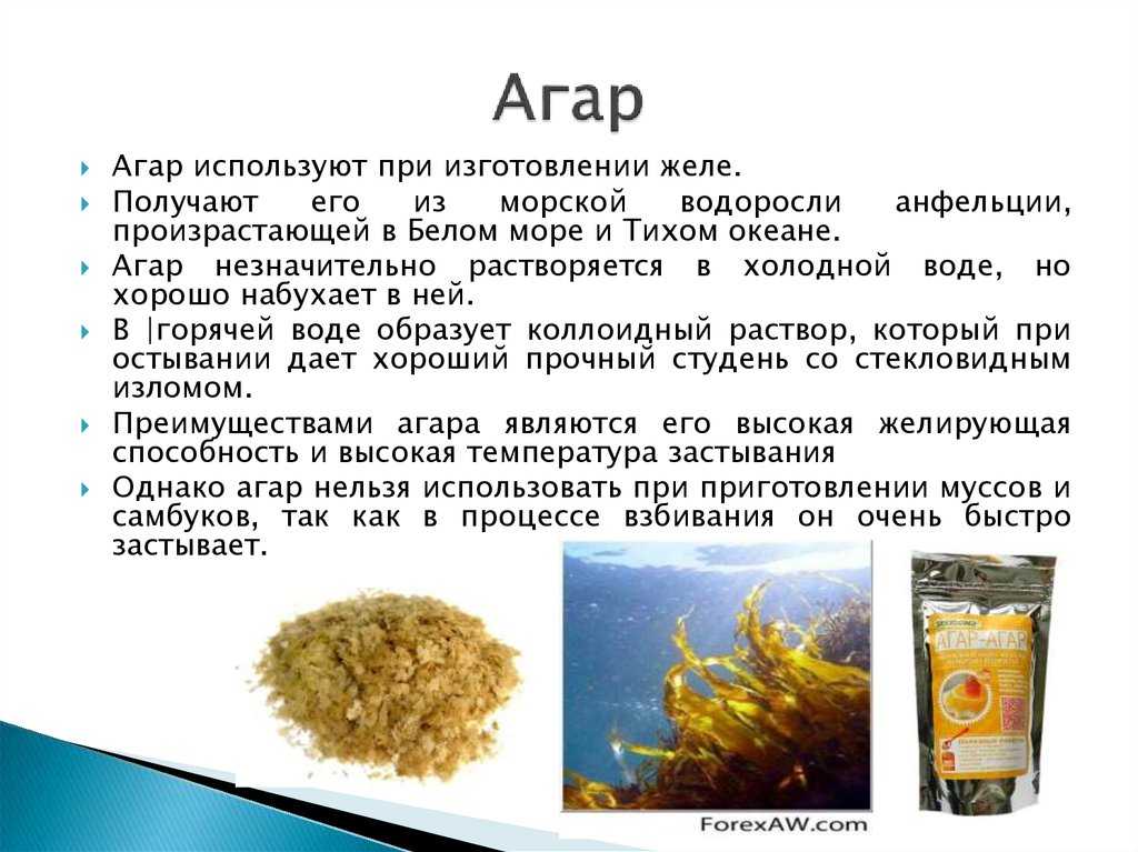 Разница между агар-агаром и желатином