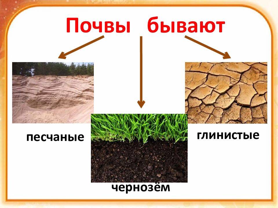 Грунт и почва — чем они отличаются