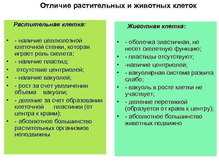 Сходства и различия животных и растительных клеток