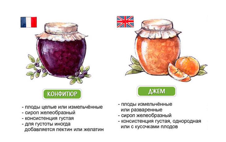 Разница между джемом и конфитюром