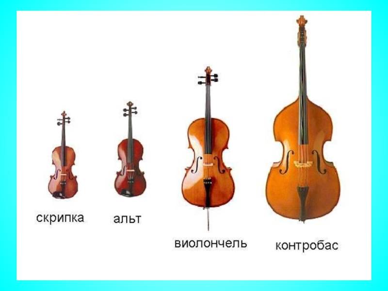 В чём различия между альтом и скрипкой: внешний вид, звучание,чем отличается