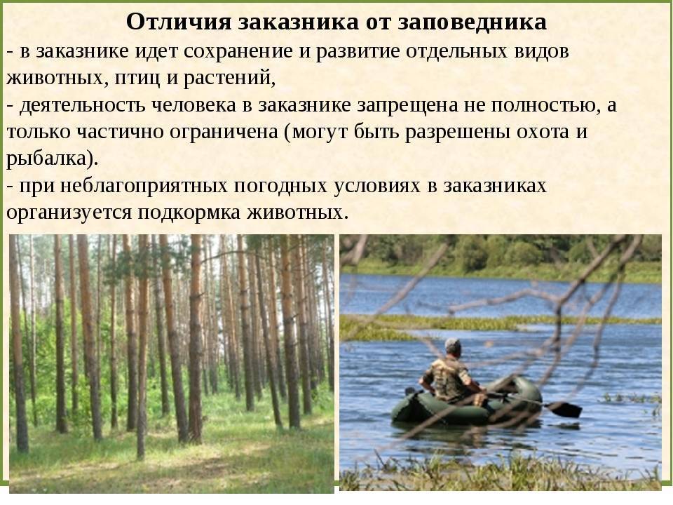 Разница между заповедником и заказником