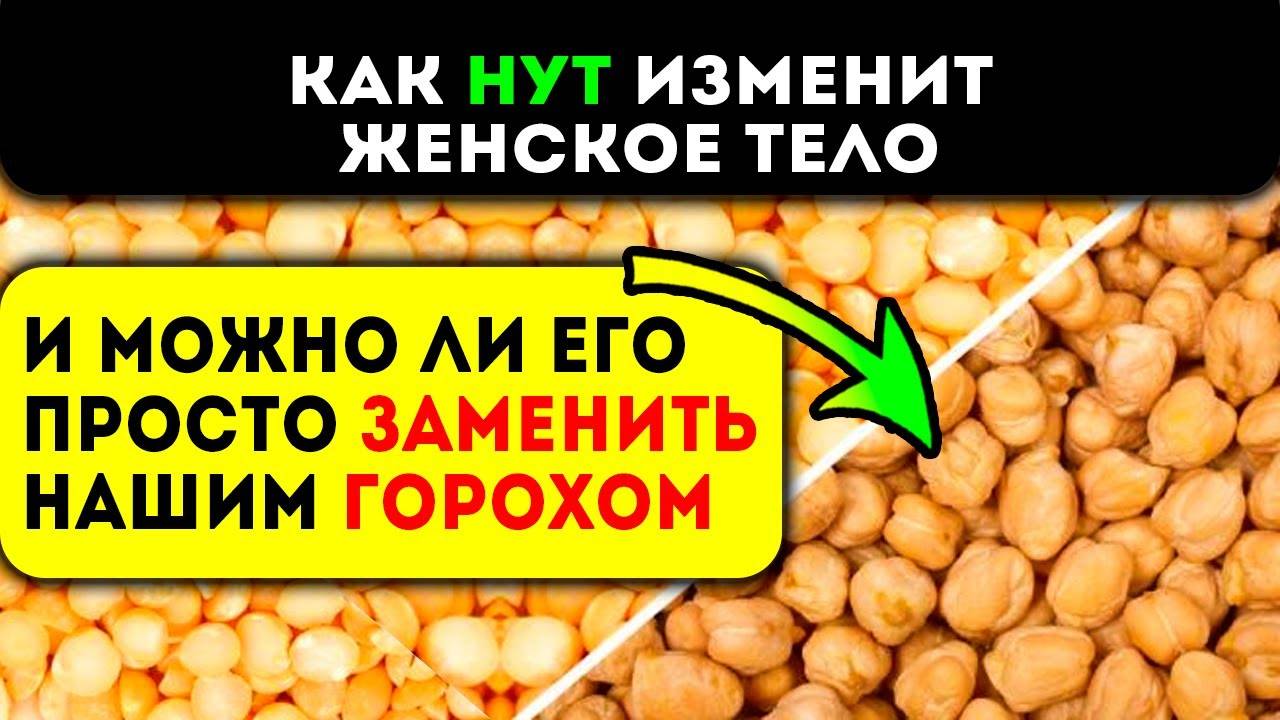 Нут - что это такое, польза и вред для организма, калорийность и как вкусно приготовить