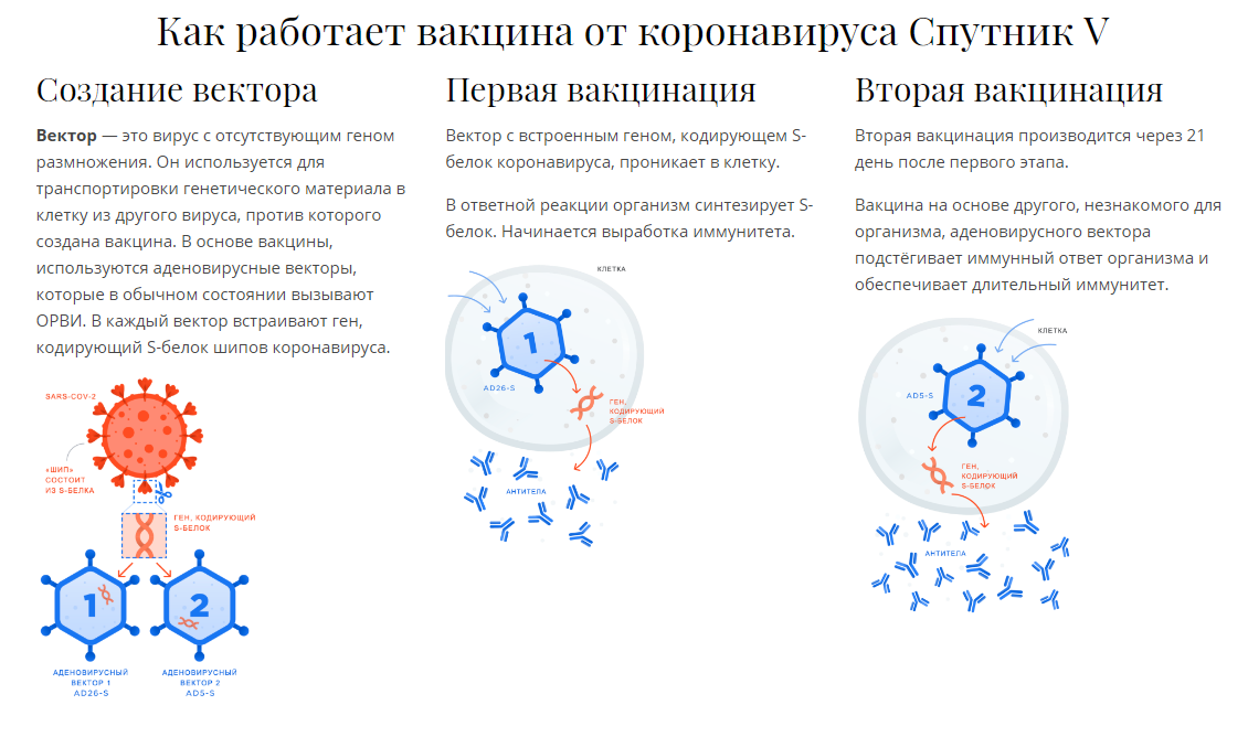 Чем отличается спутник ви от спутник лайт: подробное сравнение