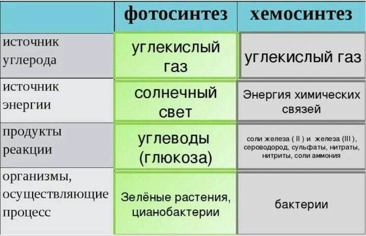 Фотосинтез и хемосинтез – биология-репетитор – kaz-ekzams.ru