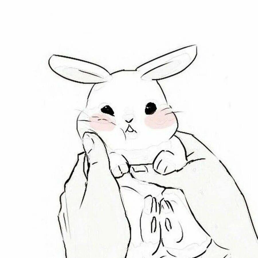 Как нарисовать кролика карандашом и красками - фото легкого поэтапного рисования милого красивого кролика для детей и начинающих