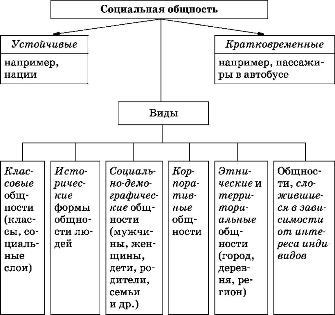 Обществознание