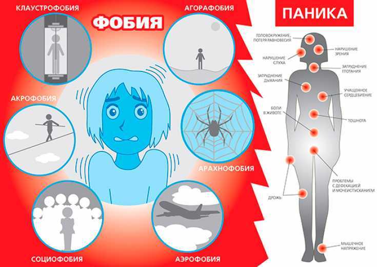 Что такое фобия и чем она отличается от страха / skillbox media