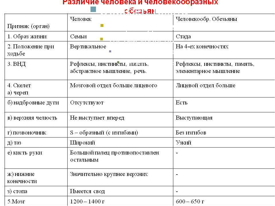 Чем человек отличается от обезьяны? [ответ кратко]