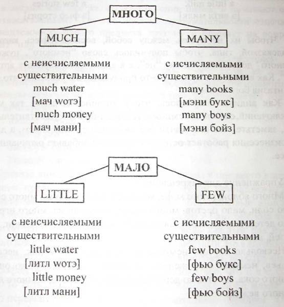 Основные сведения об использовании much и many