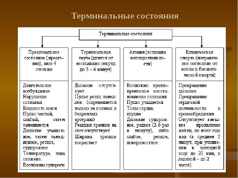 Оценка клинической смерти. определение биологической смерти