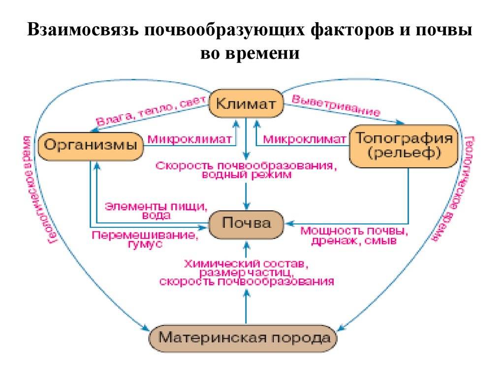 Факторы почвообразования основных типов почв
