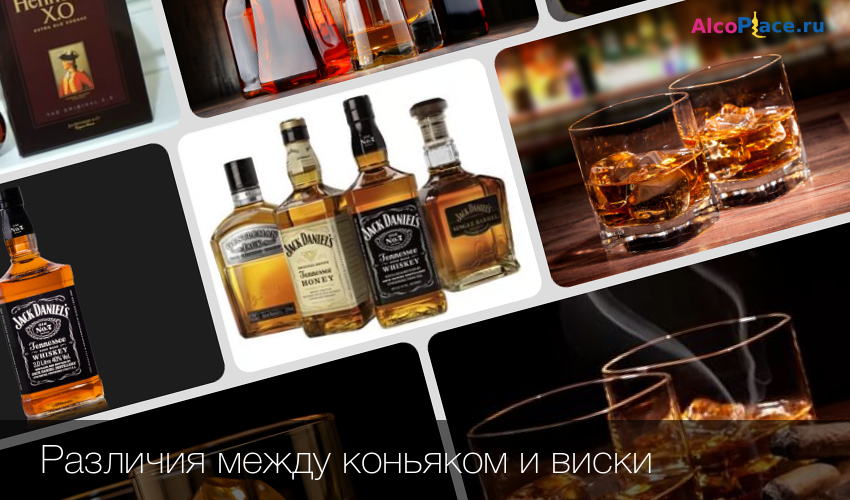 Виски и коньяк: в чем разница, чем отличаются, что лучше