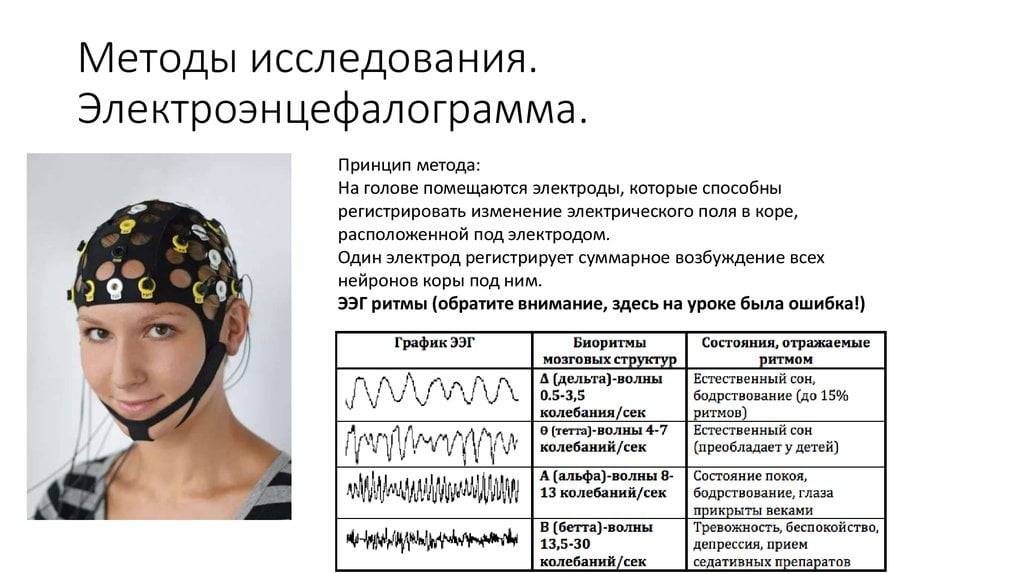 Разница между РЭГ и ЭЭГ