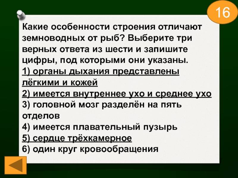 Сходство и отличие земноводных и рыб
