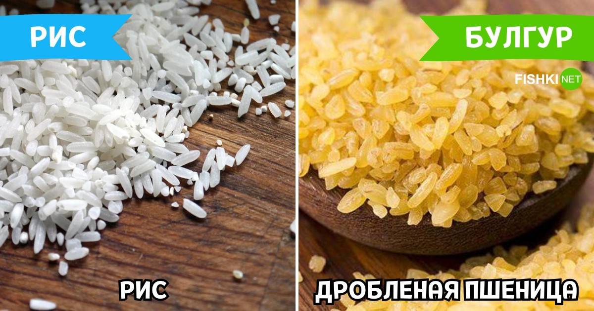 Киноа, полба или булгур? какая каша самая полезная – моя околица
