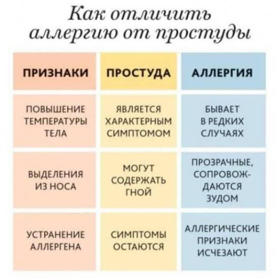 Отличие аллергического кашля от обычного