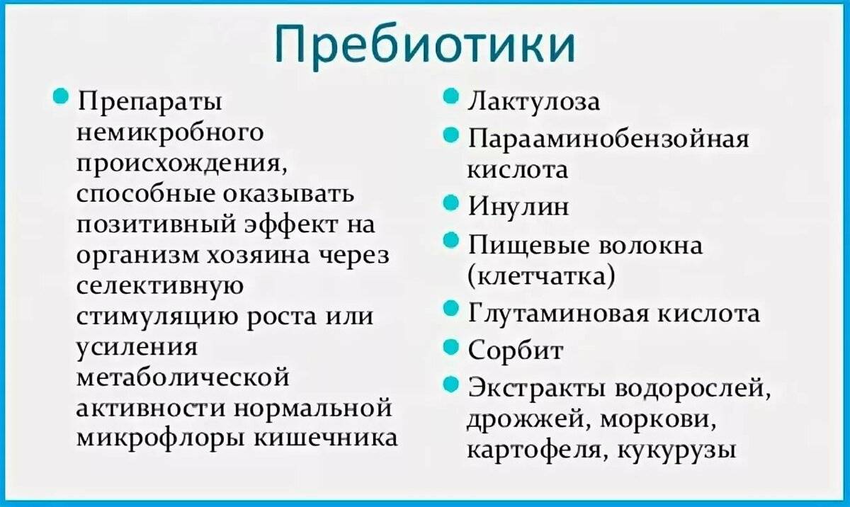 Пребиотики и пробиотики: ключ к здоровому кишечнику