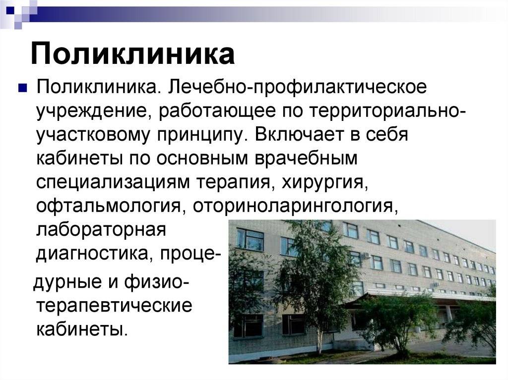 Отличие больницы от поликлиники: основные различия