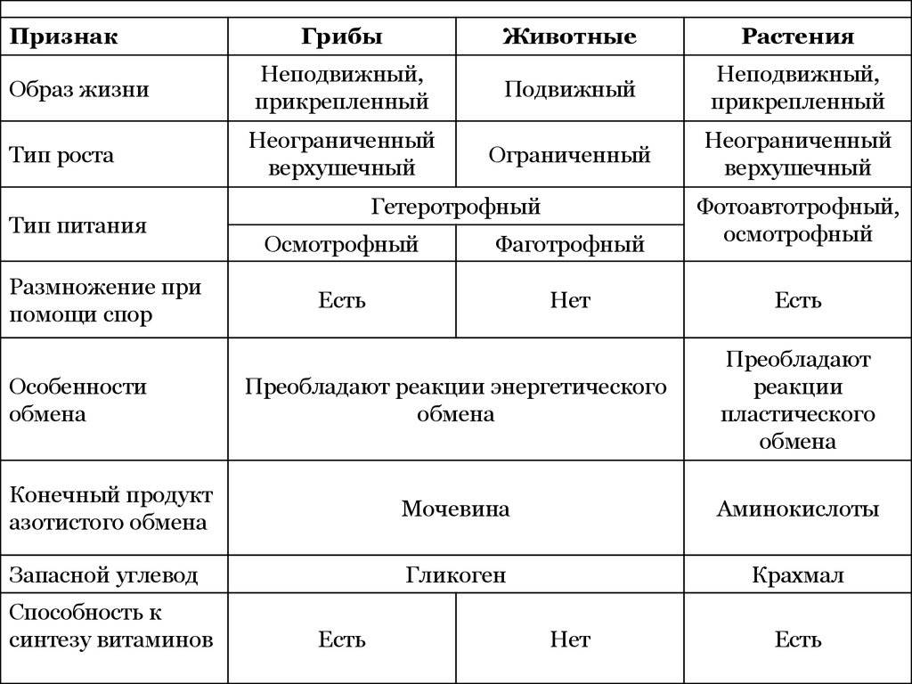 Сравнение клеток животных, растений, бактерий и грибов - таблица и схемы строения - таблица и схемы — природа мира