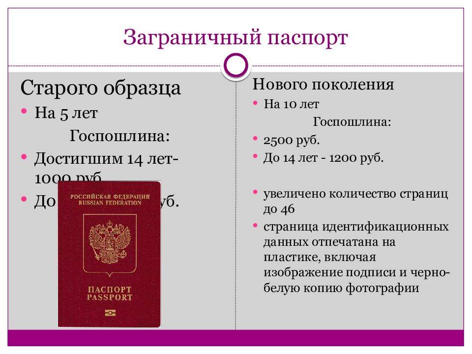 Сколько Фото На Загранпаспорт Нового Образца 2025