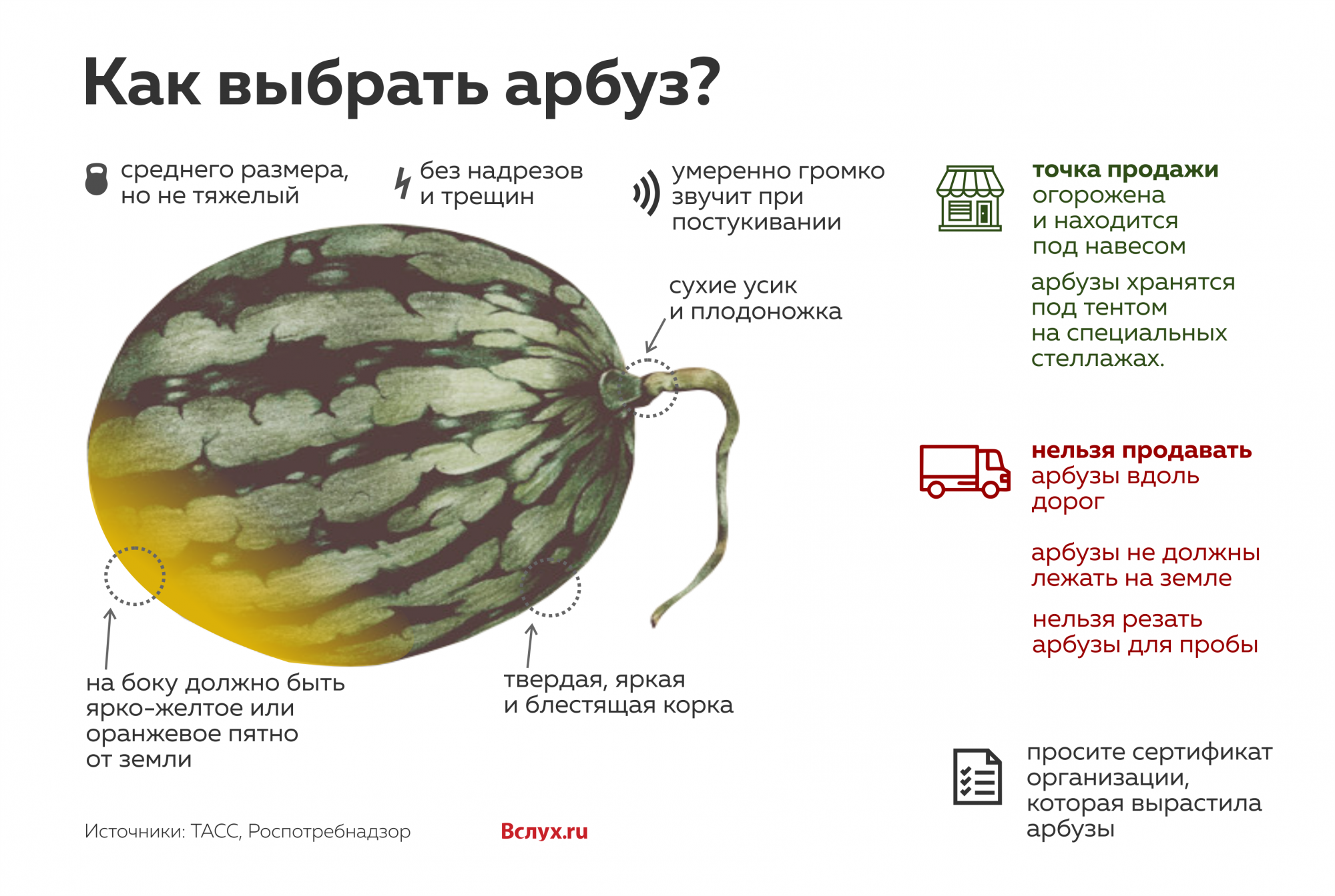 Как выбрать арбуз: 8 способов и правил выбора вкусного спелого арбуза, видео