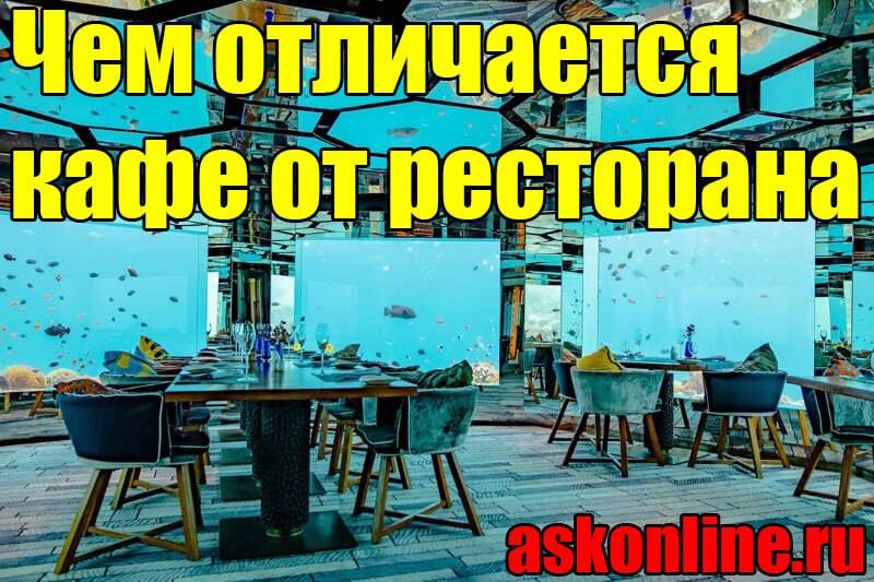 Чем отличается кафе от ресторана