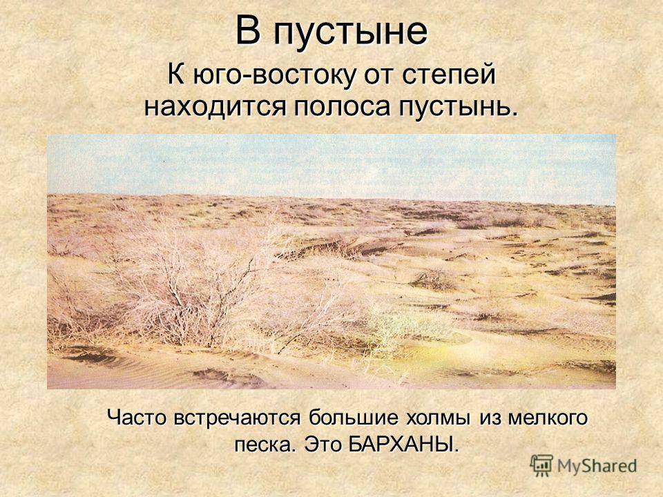 Полупустыни и пустыни