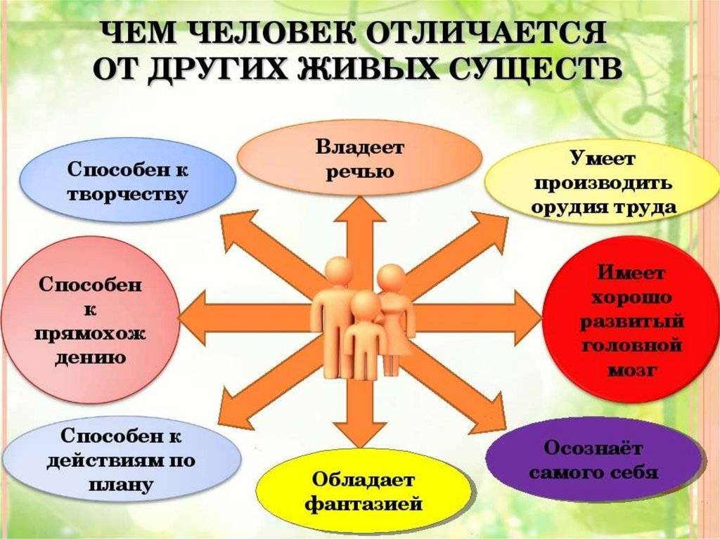 Чем отличается человек от животного
чем отличается человек от животного