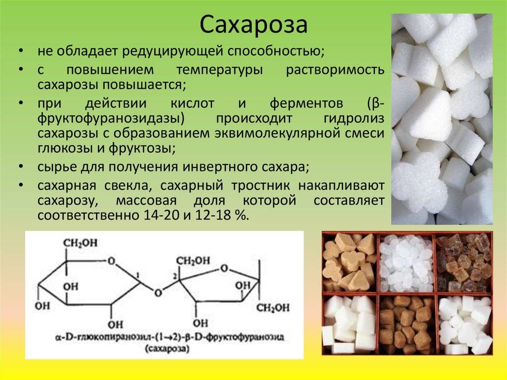 Глюкоза, фруктоза и сахароза: в чём их отличия и польза для организма