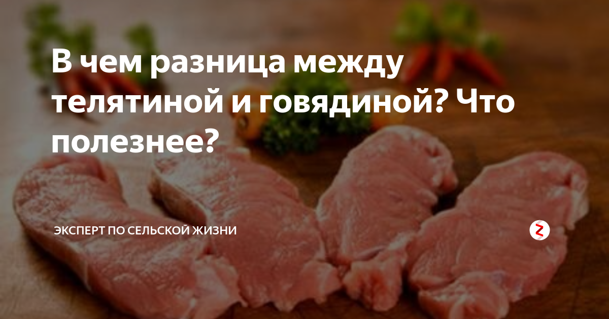 В чем разница между говядиной и телятиной
