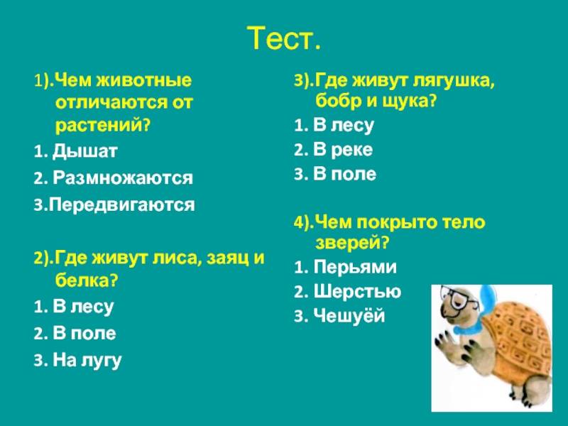 Как правильно звери или животные. животные и звери: как правильно различать их друг от друга