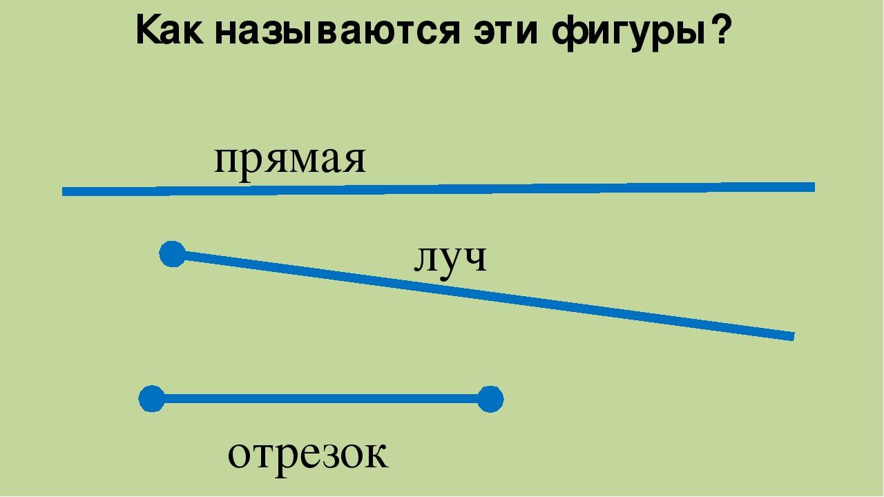 Чем отличается луч от прямой. ломанная линия abcde