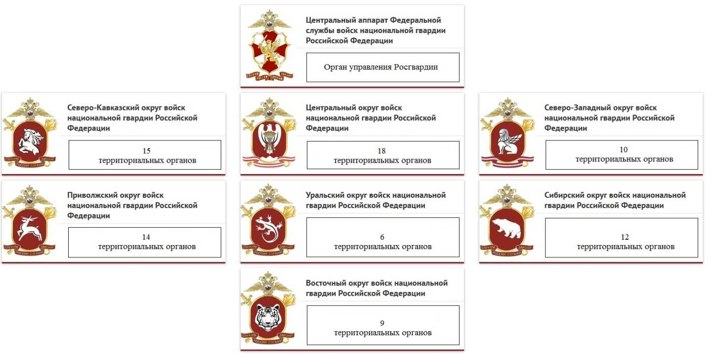 Что такое росгвардия и как она становится всё более влиятельной. объясняем простыми словами