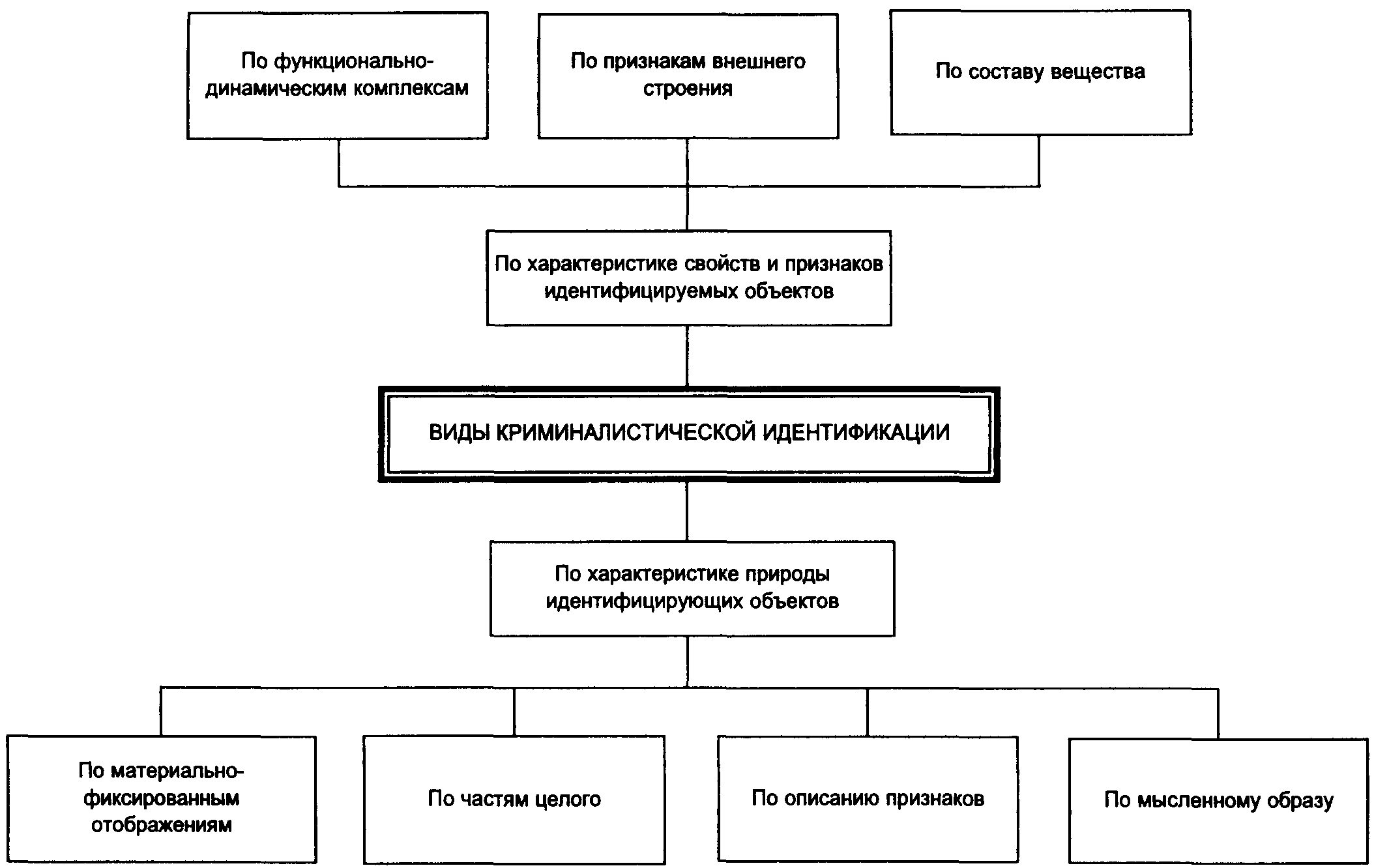 Криминология и криминалистика: в чем разница между ними?