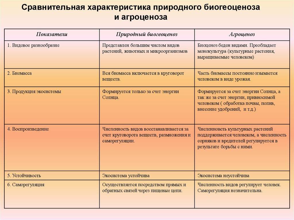 В чем отличия между агроценозом и биоценозом, есть ли разница в экосистемах