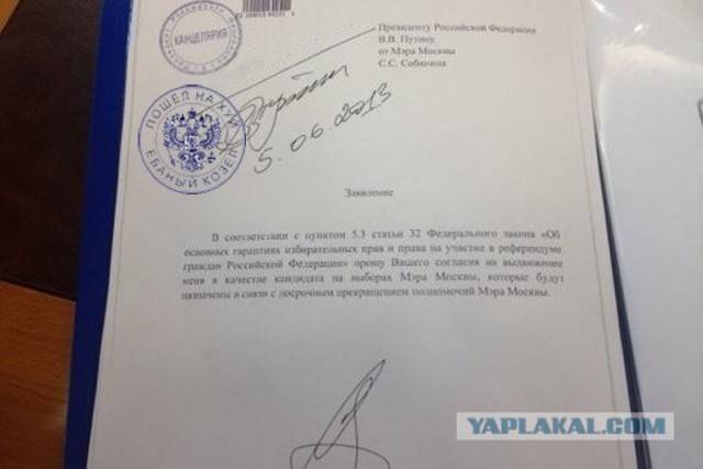 Временно исполняющий обязанности: как правильно написать и особенности феминитивов