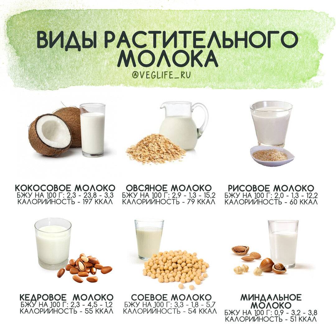 Чем заменить молоко в рационе?