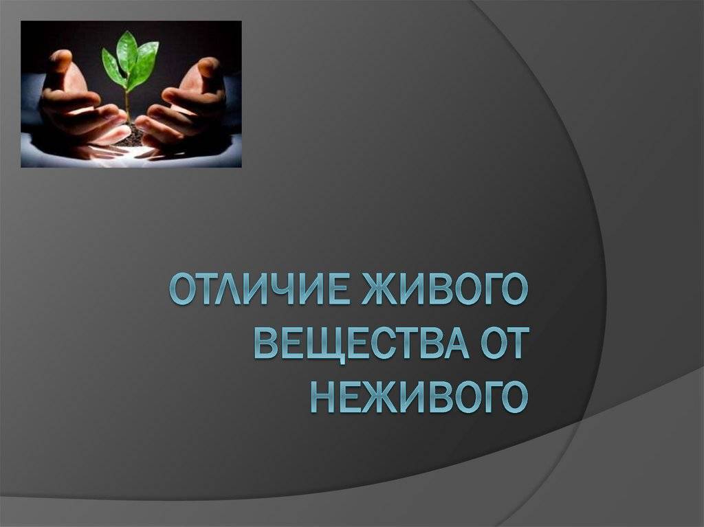 Чем живая природа отличается от неживой?