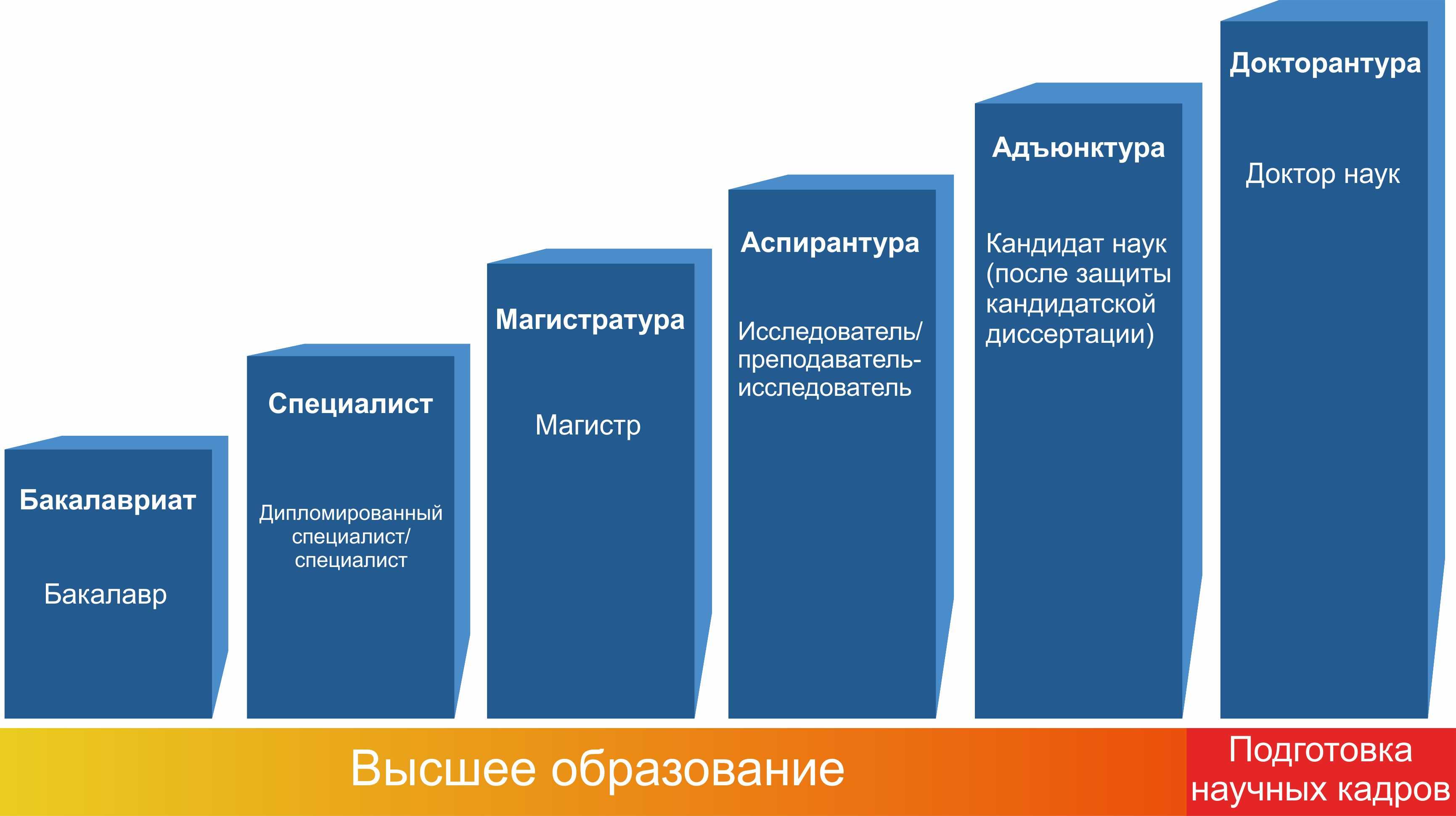 Чем отличается институт от университета?