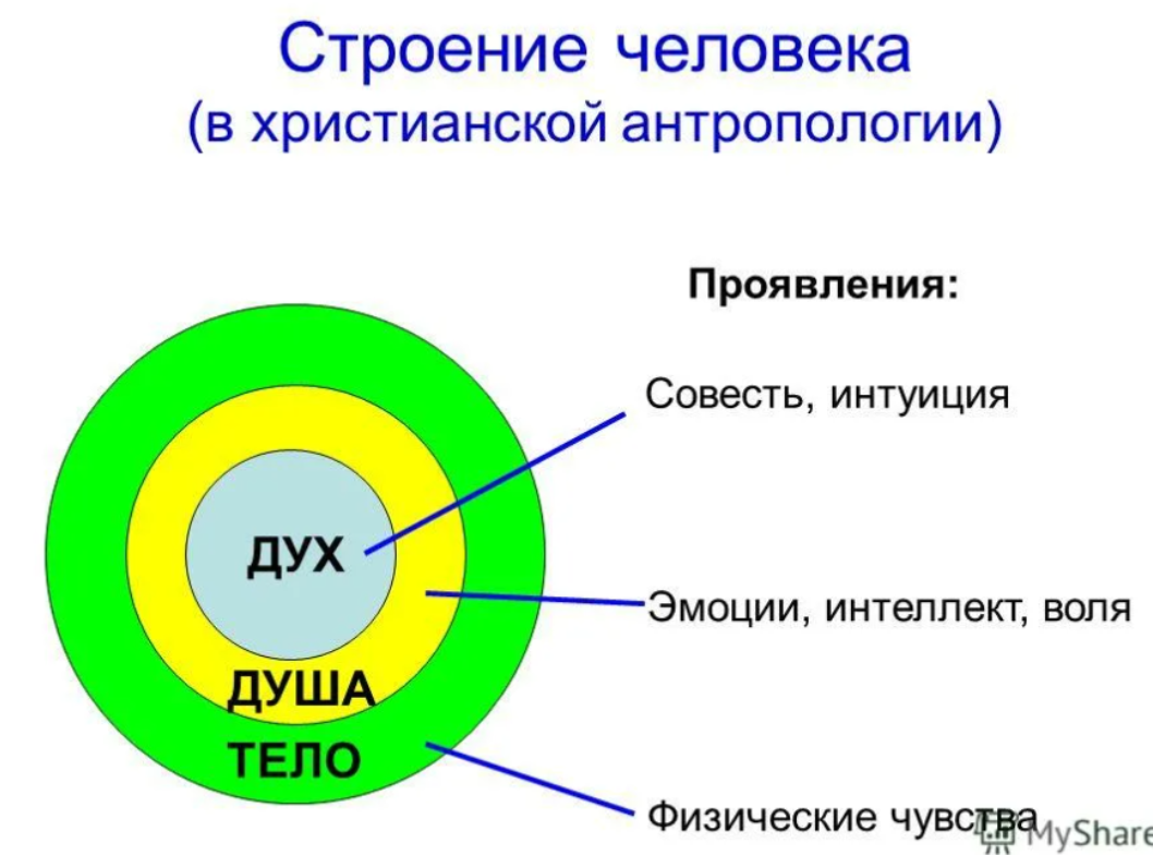 Дух и душа - в чем разница в православии и как это помогает нашей духовной жизни - vbiblioest.ru