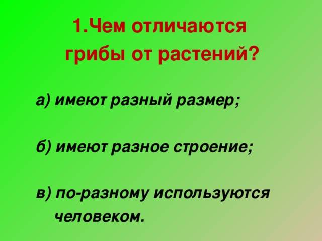 Сходство грибов с растениями: общие признаки, чем отличаются