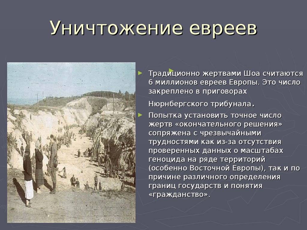 Гитлер был прав уничтожая евреев и цыган как паразитов общества