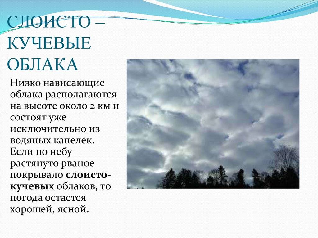 Облака: что это такое, как образуются, виды, чем отличаются от тучи