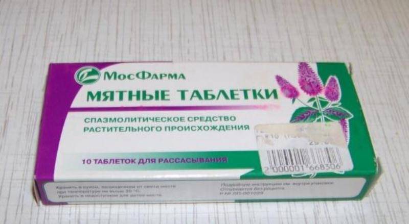 В чем отличия между мятой и мелиссой: описание растений и их особенности