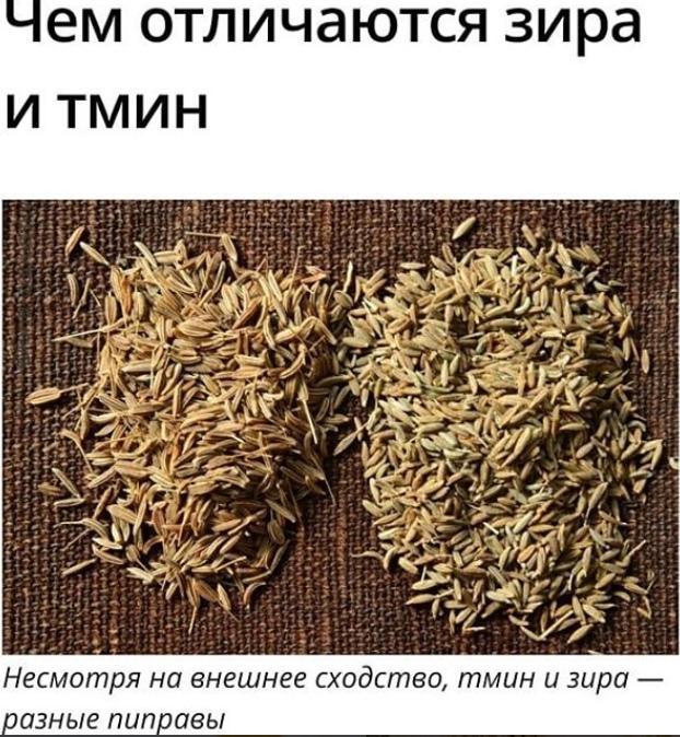Тмин и зира: в чем разница между специями